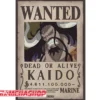 One Piece - Affiche Wanted Kaido